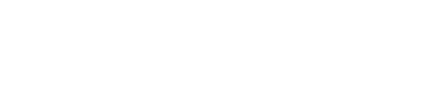 Netovo